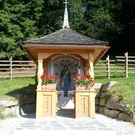 Апартаменты Urlaub Am Raderhof In Der Ferienregion Lungau Маутерндорф Экстерьер фото
