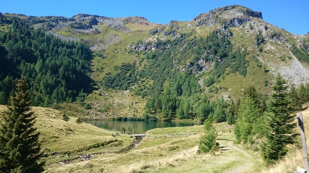 Апартаменты Urlaub Am Raderhof In Der Ferienregion Lungau Маутерндорф Экстерьер фото
